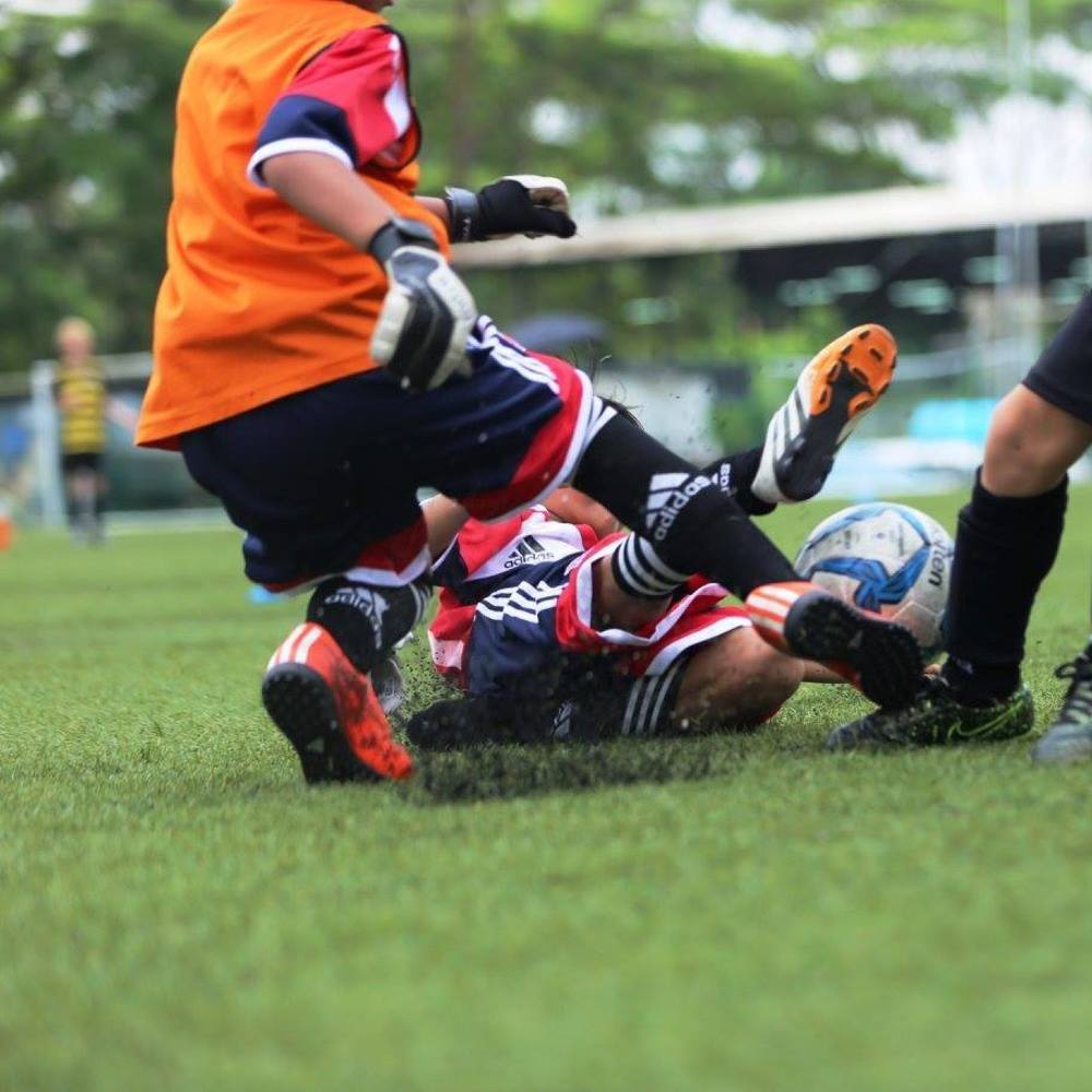 Meet your Posher, Roy